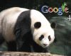 Google Panda 4.2 ažuriranje - tiho i sporo